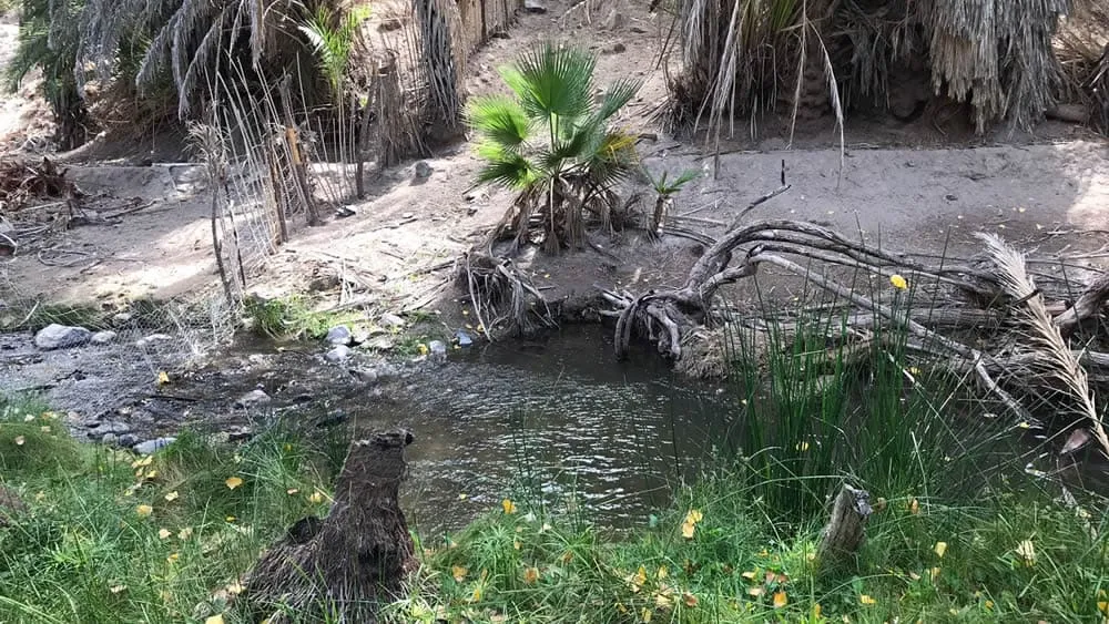 San Miguel de Comondu arroyos