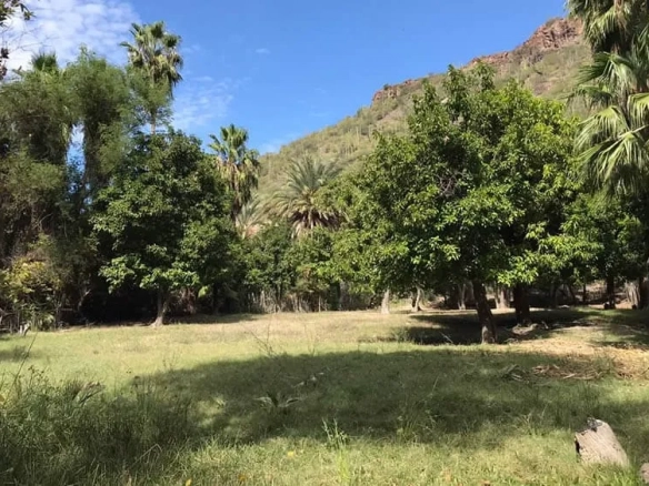 San Miguel de Comondu lot for sale land view