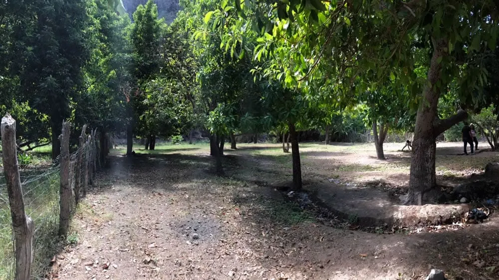 San Miguel de Comondu lot for sale