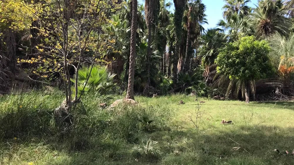 San Miguel de Comondu lote en venta en la sierra