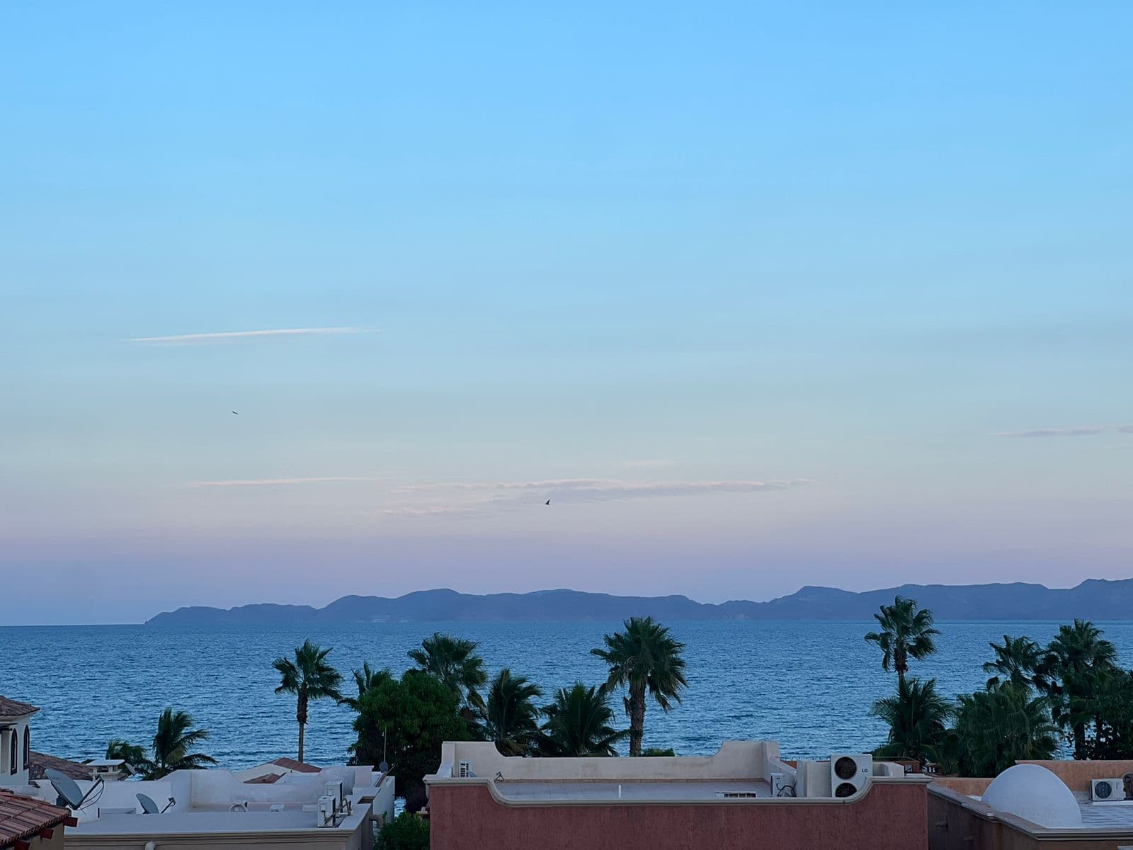 real estate sea of cortez